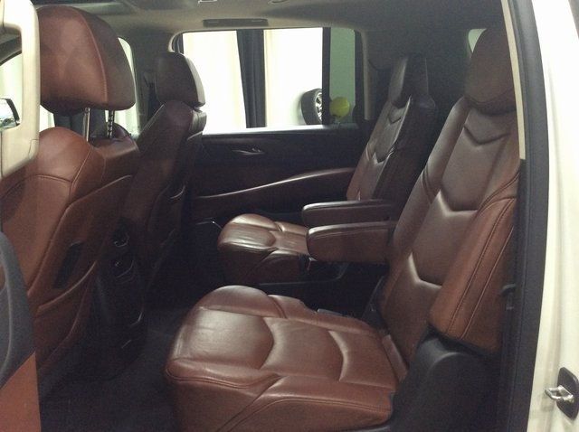 2015 Cadillac Escalade ESV 4WD 4dr Premium - 22303550 - 20