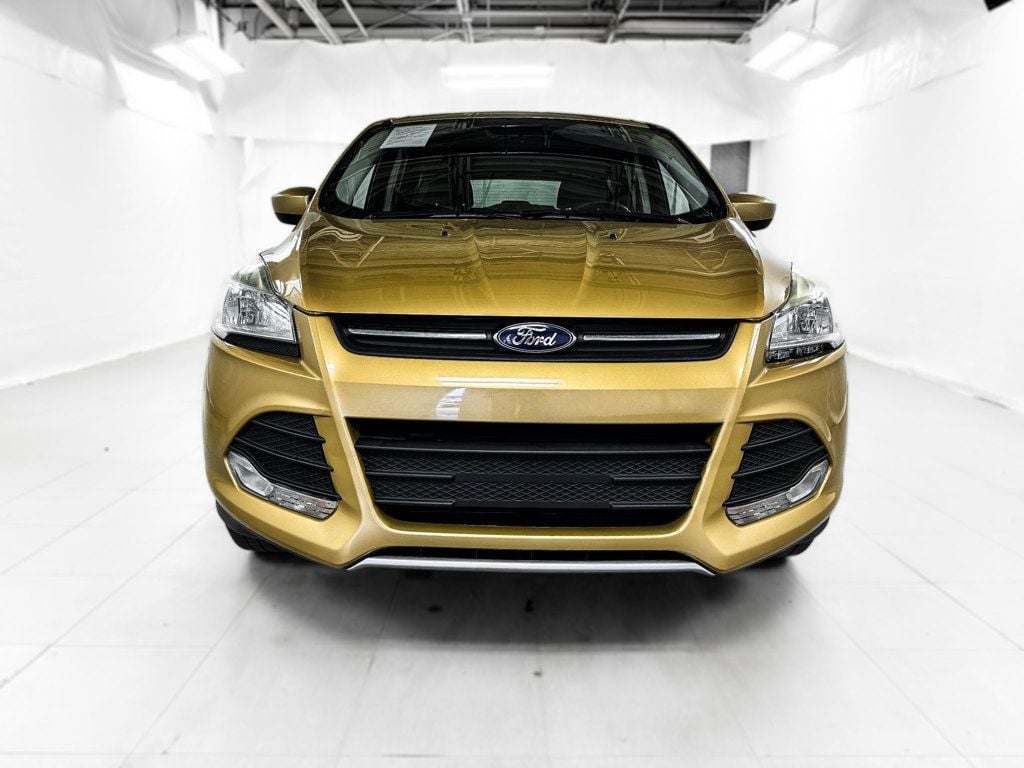 2015 Ford Escape SE photo 2