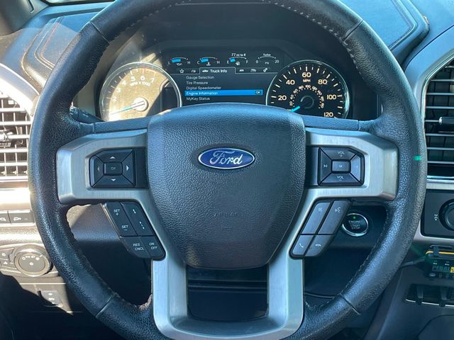 2015 Ford F-150 4WD SuperCrew 157" Platinum - 23044159 - 28