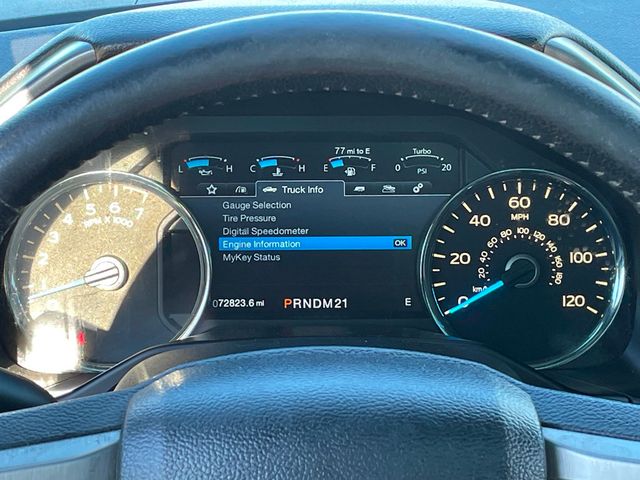 2015 Ford F-150 4WD SuperCrew 157" Platinum - 23044159 - 31