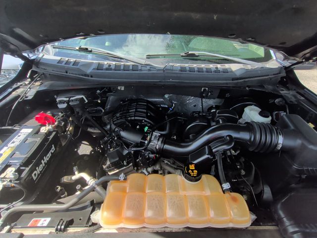 2015 Ford F-150 SUPER CAB - 23070223 - 10