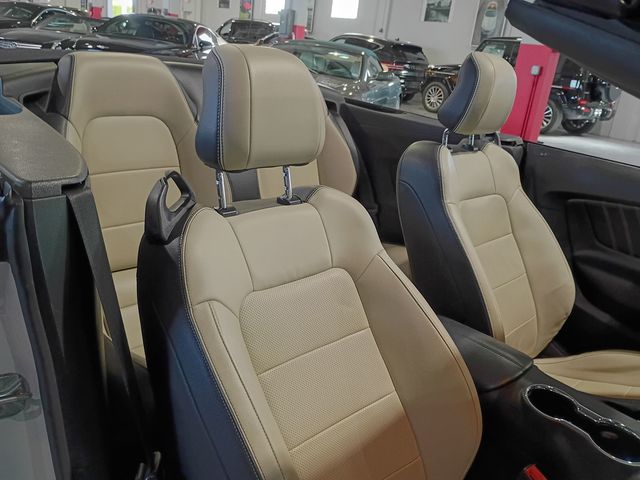2015 Ford Mustang 2dr Convertible EcoBoost Premium - 23097897 - 33