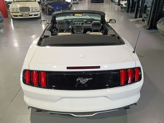 2015 Ford Mustang 2dr Convertible EcoBoost Premium - 23097897 - 5