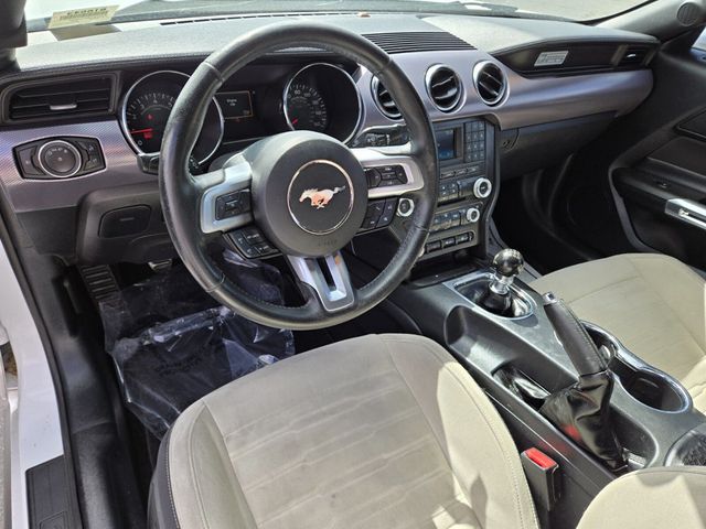 2015 Ford Mustang 2dr Fastback EcoBoost - 22954073 - 9