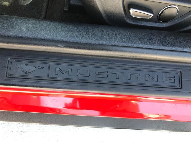 2015 Ford Mustang 2dr Fastback EcoBoost - 22974559 - 14