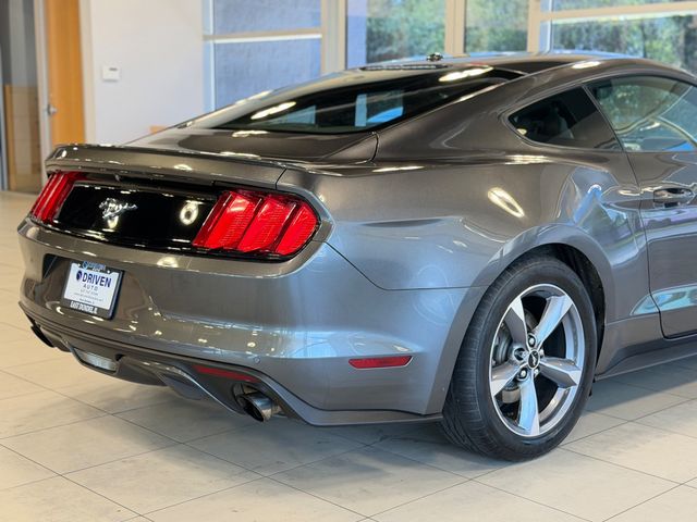 2015 Ford Mustang 2dr Fastback EcoBoost - 23049548 - 10