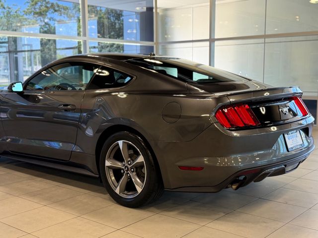 2015 Ford Mustang 2dr Fastback EcoBoost - 23049548 - 12