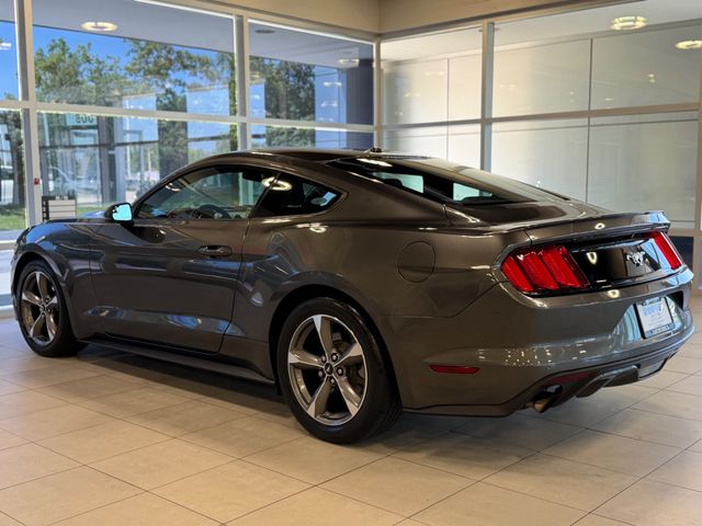 2015 Ford Mustang 2dr Fastback EcoBoost - 23049548 - 13