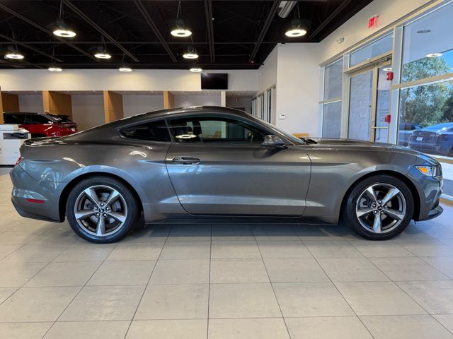 2015 Ford Mustang 2dr Fastback EcoBoost - 23049548 - 14