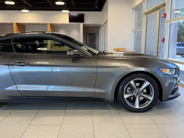 2015 Ford Mustang 2dr Fastback EcoBoost - 23049548 - 15