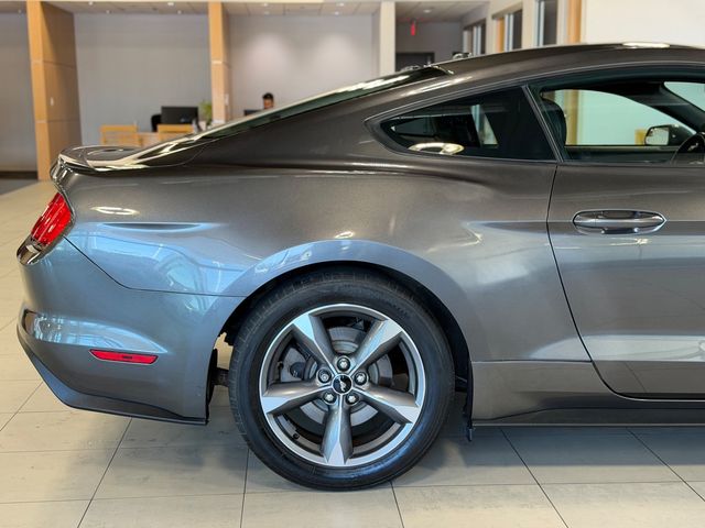 2015 Ford Mustang 2dr Fastback EcoBoost - 23049548 - 16