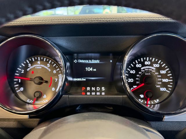 2015 Ford Mustang 2dr Fastback EcoBoost - 23049548 - 24