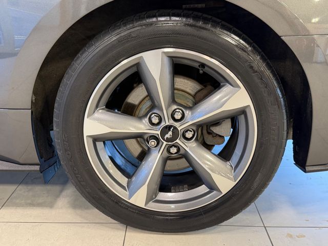 2015 Ford Mustang 2dr Fastback EcoBoost - 23049548 - 37