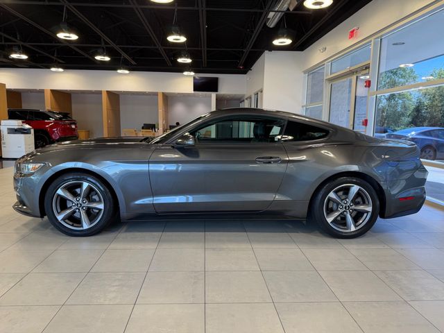 2015 Ford Mustang 2dr Fastback EcoBoost - 23049548 - 6