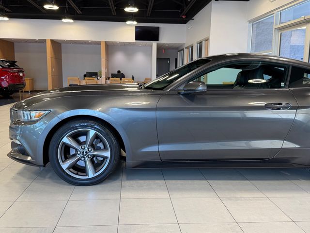 2015 Ford Mustang 2dr Fastback EcoBoost - 23049548 - 7