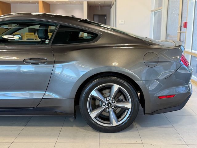 2015 Ford Mustang 2dr Fastback EcoBoost - 23049548 - 8