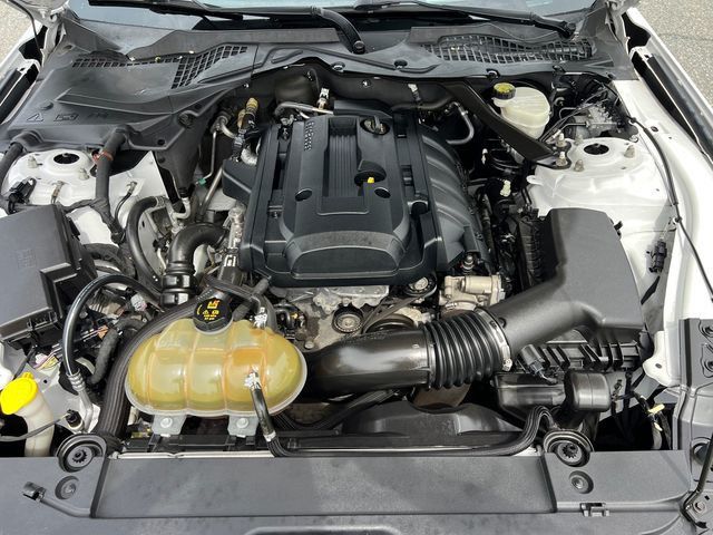 2015 Ford Mustang 2dr Fastback EcoBoost Premium - 23024614 - 16