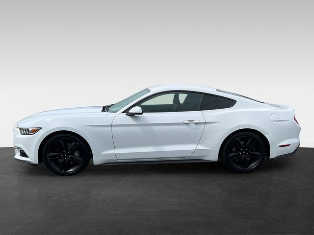 2015 Ford Mustang 2dr Fastback EcoBoost Premium - 23024614 - 1