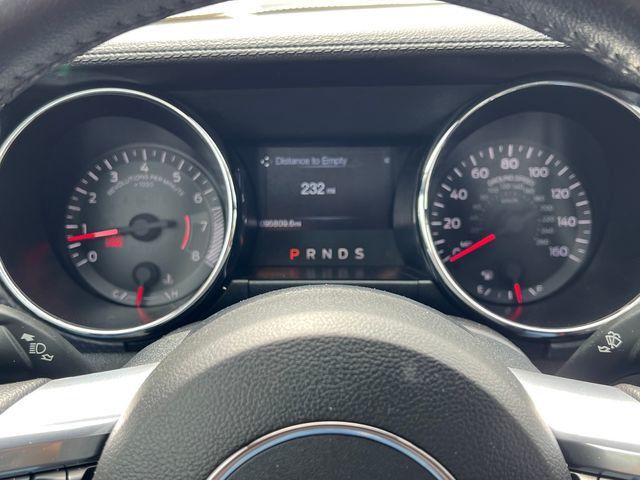 2015 Ford Mustang 2dr Fastback EcoBoost Premium - 23024614 - 21