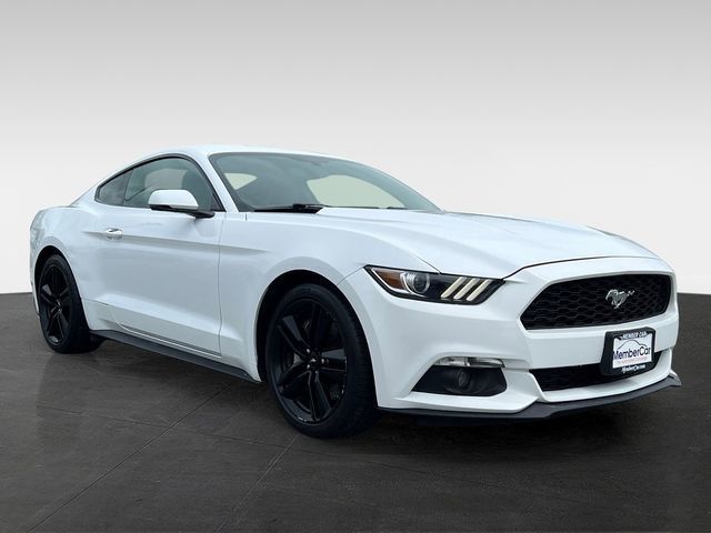 2015 Ford Mustang 2dr Fastback EcoBoost Premium - 23024614 - 5