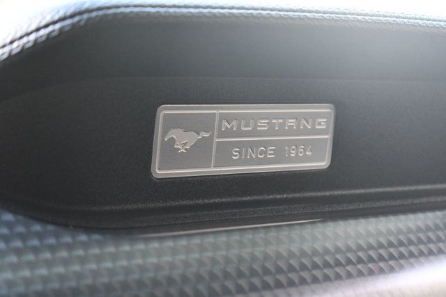 2015 Ford Mustang GT photo 39