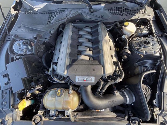 2015 Ford Mustang 2dr Fastback GT - 22947025 - 10