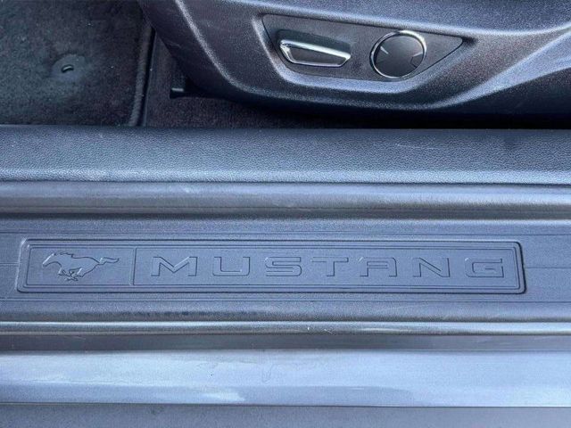 2015 Ford Mustang 2dr Fastback GT - 22947025 - 17