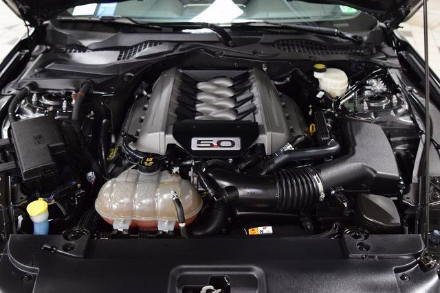 2015 Ford Mustang 2dr Fastback GT Premium - 22915709 - 23