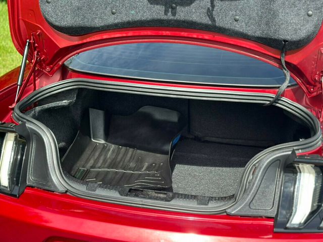 2015 Ford Mustang 2dr Fastback GT Premium - 22917563 - 7