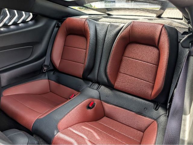 2015 Ford Mustang 2dr Fastback GT Premium - 23029794 - 11