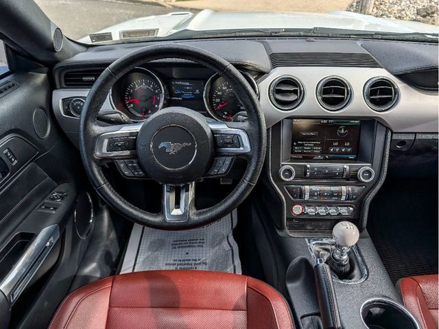 2015 Ford Mustang 2dr Fastback GT Premium - 23029794 - 21