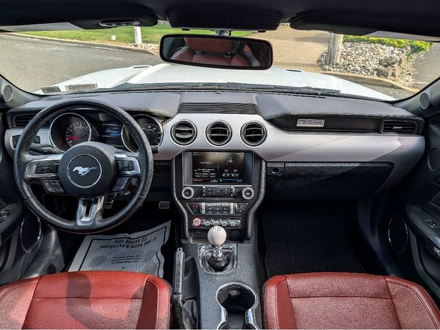 2015 Ford Mustang 2dr Fastback GT Premium - 23029794 - 22