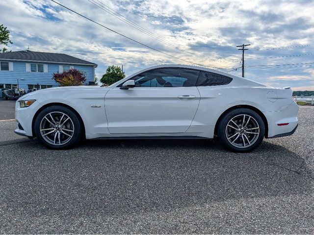 2015 Ford Mustang 2dr Fastback GT Premium - 23029794 - 8