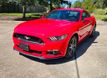 2015 Ford Mustang 2dr Fastback GT Premium - 22625914 - 23