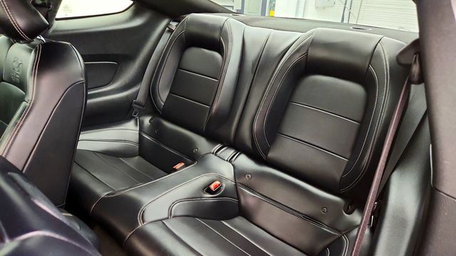 2015 Ford Mustang 2dr Fastback GT Premium w/ 50 Years Pkg, Adaptive Cruise & Nav - 23099942 - 20