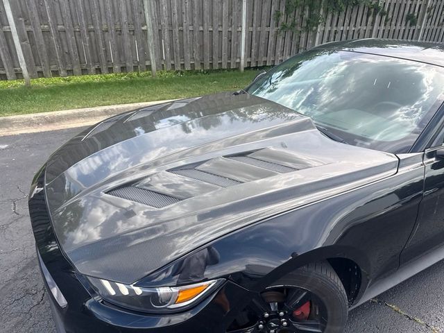 2015 Ford Mustang 2dr Fastback V6 - 23041243 - 2