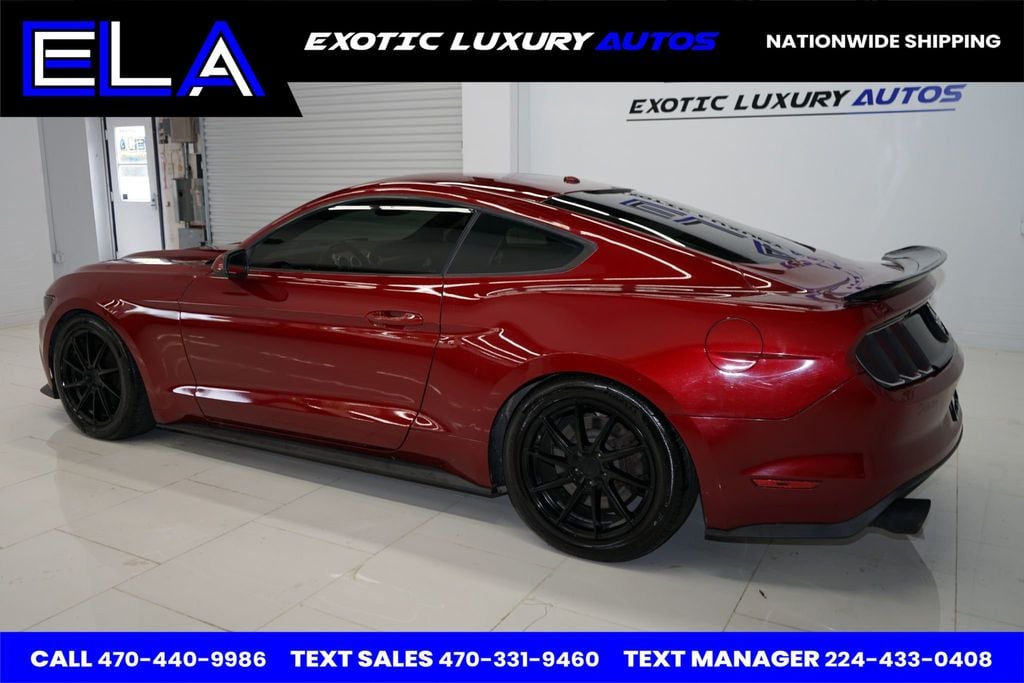 2015 Ford Mustang 50 YEARS LIMITED EDITION! 6 SPEED MANUAL 5.0 V8 GT - 22464291 - 3