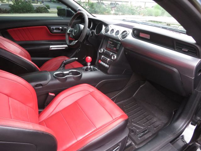 2015 Ford Mustang FASTBACK GT MUSTANG LEATHER EXTRA CLEAN LOW MILES 6SPEED  - 23099233 - 25