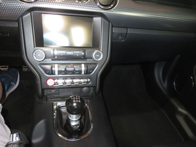 2015 Ford Mustang GT MUSTANG 5.0 6SPEED MANUAL TRANNY LOW MILES WHIPPLE SUPERCHARG - 22959032 - 28