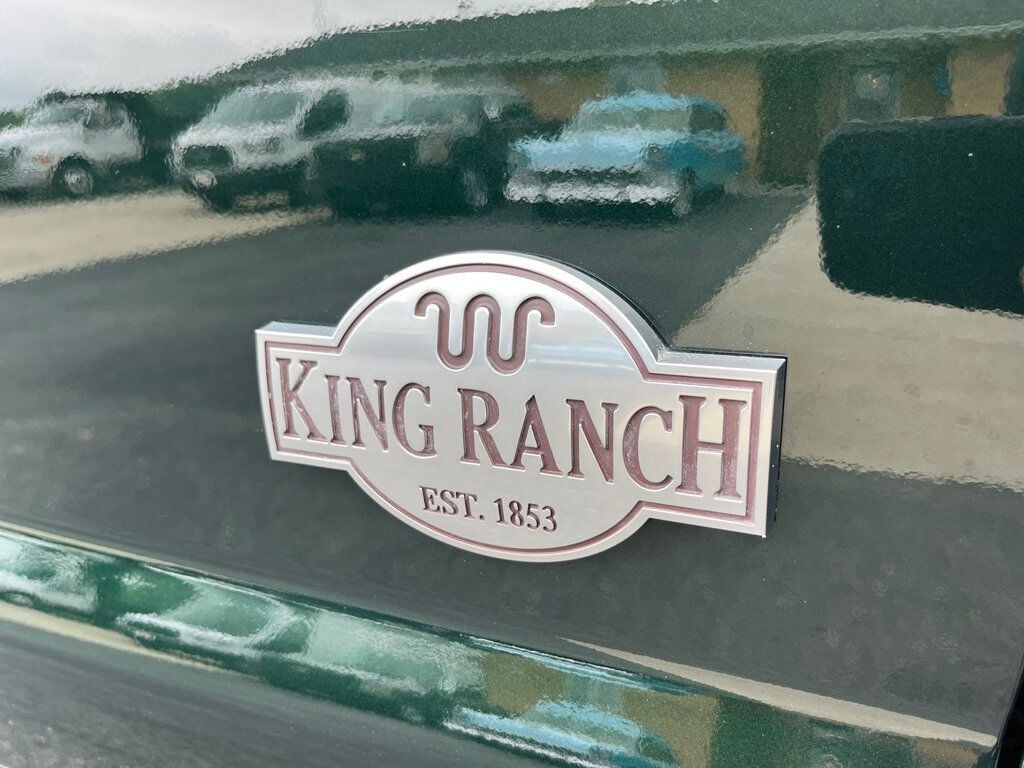 2015 Ford Super Duty F-450 DRW F450 King Ranch 4x4 Dooley - 22871311 - 11