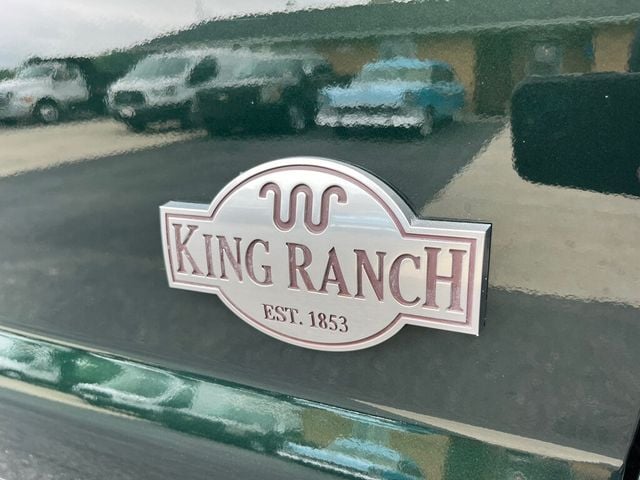 2015 Ford Super Duty F-450 DRW F450 King Ranch 4x4 Dooley - 22871311 - 11