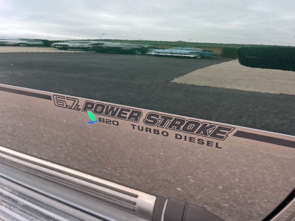 2015 Ford Super Duty F-450 DRW F450 King Ranch 4x4 Dooley - 22871311 - 12