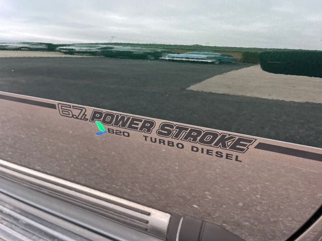 2015 Ford Super Duty F-450 DRW F450 King Ranch 4x4 Dooley - 22871311 - 12