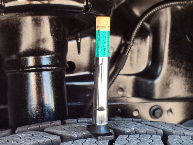 2015 Ford Transit Cargo Van T-250 130" Low Rf 9000 GVWR Swing-Out RH Dr - 22949004 - 33