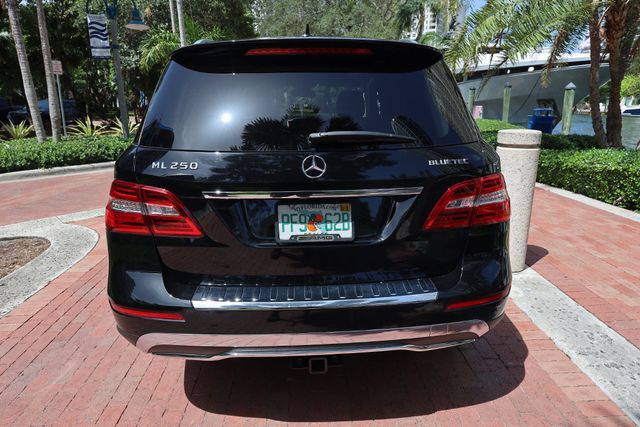 2015 Mercedes-Benz M-Class 4MATIC 4dr ML 250 BlueTEC - 23053854 - 20