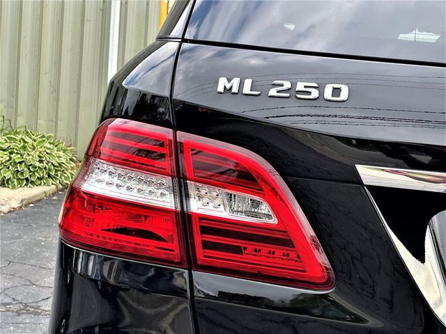 2015 Mercedes-Benz M-Class ML 250 BlueTEC AWD 4MATIC 4dr SUV - 21440496 - 40