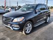 2015 Mercedes-Benz M-Class RWD 4dr ML 350 - 22968723 - 0