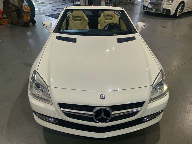 2015 Mercedes-Benz SLK 2dr Roadster SLK 250 Clean Carfax Florida Car - 22978243 - 11