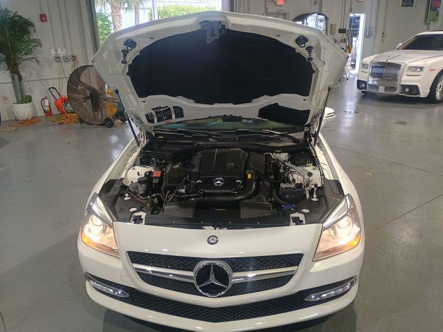 2015 Mercedes-Benz SLK 2dr Roadster SLK 250 Clean Carfax Florida Car - 22978243 - 31