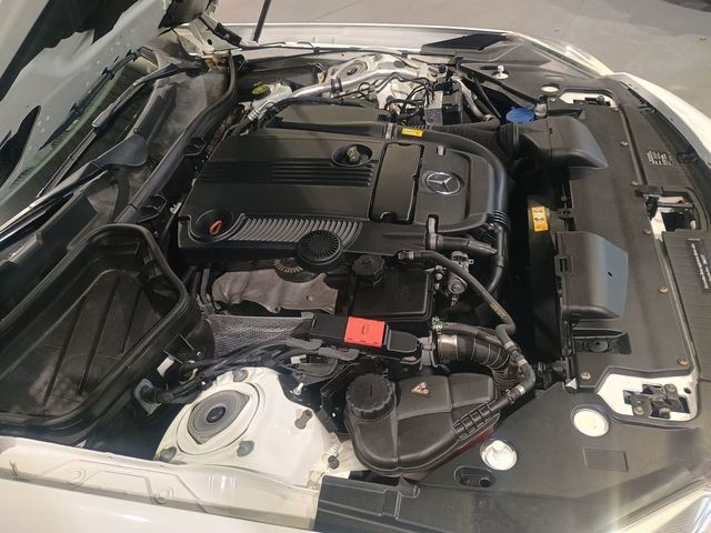 2015 Mercedes-Benz SLK 2dr Roadster SLK 250 Clean Carfax Florida Car - 22978243 - 32